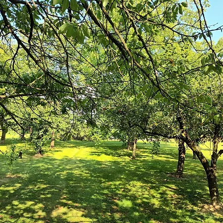 Sweet * Markovci