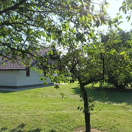 Sweet Markovci